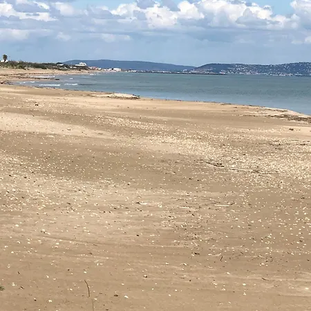 Le Royal Vibes * Agde