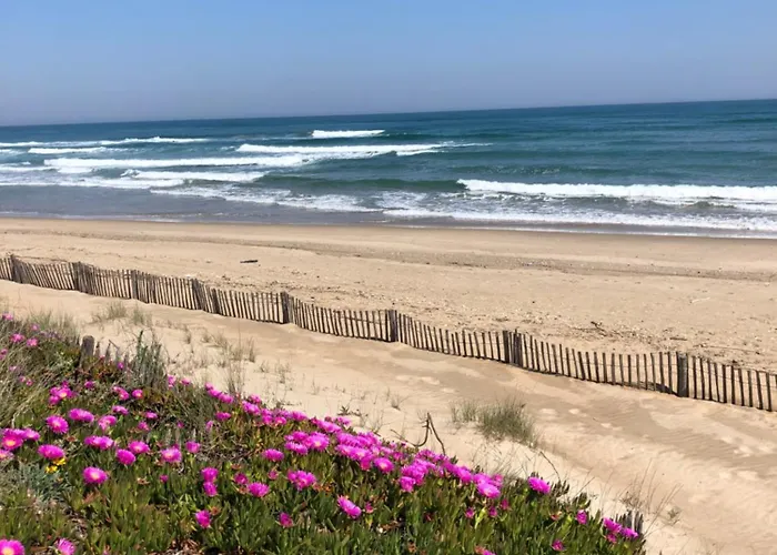 Appartamento Le Royal Vibes *